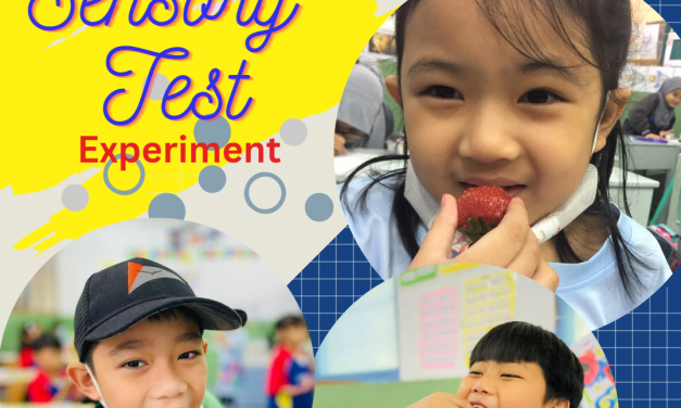 Sensory Test